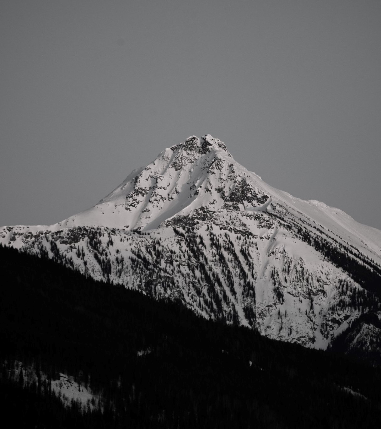 Project management and consulting